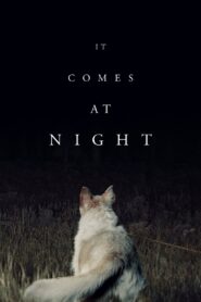 It Comes at Night 2017 on netflix