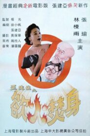 Mr. Wang’s Burning Desire 1993 on netflix