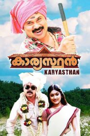 Kaaryasthan 2010 on netflix