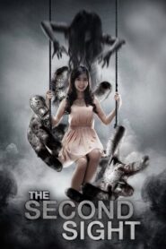 The Second Sight 2013 on netflix