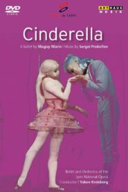 Cinderella 1989 on netflix