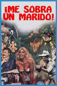 Me sobra un marido 1987 on netflix