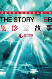 The Story in ER 2014 on netflix