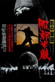 Shadow Warriors: Hattori Hanzo 1980 on netflix