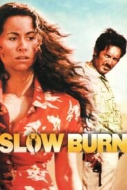 Slow Burn 2000 on netflix