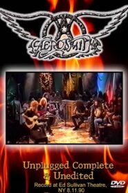 Aerosmith: MTV Unplugged 1990 on netflix