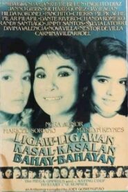 Ligaw-Ligawan, Kasal-Kasalan, Bahay-Bahayan 1993 on netflix
