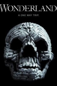 VIViD 2011 on netflix