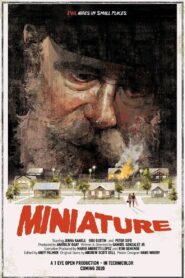 Miniature 2020 on netflix
