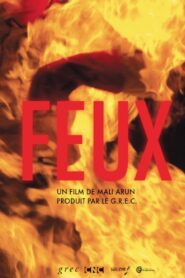 Feux 2015 on netflix