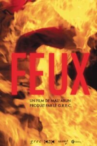 Feux 2015 on netflix