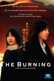 The Burning 2008 on netflix
