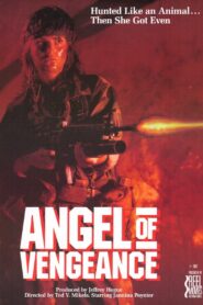 Angel of Vengeance 1987 on netflix