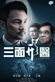 Hidden Faces 2015 on netflix