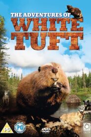 White Tuft, the Little Beaver 2008 on netflix