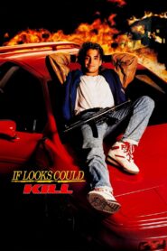 If Looks Could Kill 1991 on netflix