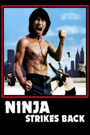 Bruce Strikes Back 1982 on netflix