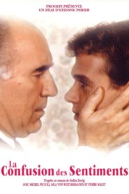 Confused Feelings 1981 on netflix