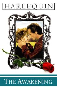 The Awakening 1995 on netflix