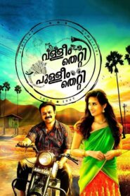 Valleem Thetti Pulleem Thetti 2016 on netflix