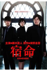 Fate 2004 on netflix