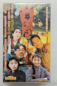 小井胡同 1996 on netflix