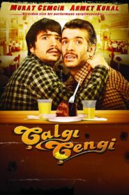 Çalgı Çengi 2011 on netflix