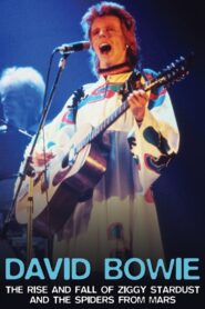 David Bowie: The Rise And Fall of Ziggy Stardust and the Spiders From Mars 2006 on netflix