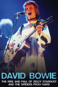 David Bowie: The Rise And Fall of Ziggy Stardust and the Spiders From Mars 2006 on netflix