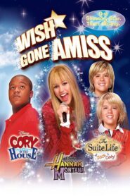 Wish Gone Amiss 2007 on netflix