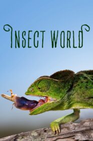 Insect World 2017 on netflix