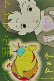 Open the Door 1995 on netflix