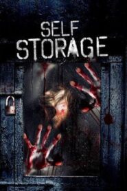 Self Storage 2013 on netflix