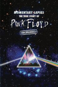 Pink Floyd: Momentary Lapses – The True Story of Pink Floyd 2010 on netflix