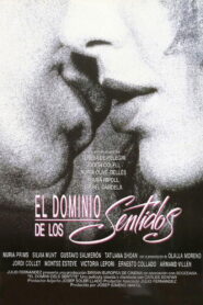 El dominio de los sentidos 1996 on netflix