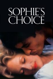 Sophie’s Choice 1982 on netflix