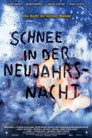 Schnee in der Neujahrsnacht 1999 on netflix