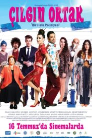 Çılgın Ortak 2021 on netflix