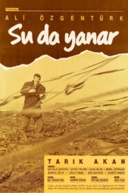 Su da Yanar 1987 on netflix