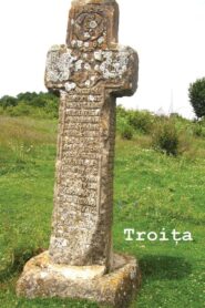 Troița 1991 on netflix