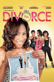 The Divorce 2014 on netflix