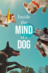 Inside the Mind of a Dog 2024 on netflix