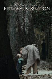 The Curious Birth of Benjamin Button 2009 on netflix