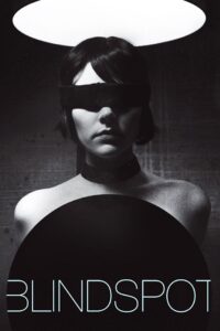 Blindspot 2008 on netflix