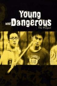 Young and Dangerous: The Prequel 1998 on netflix