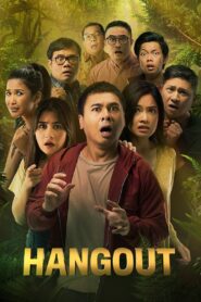 Hangout 2016 on netflix