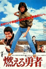 The Blazing Valiant 1981 on netflix