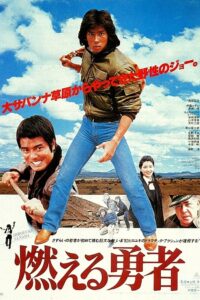 The Blazing Valiant 1981 on netflix