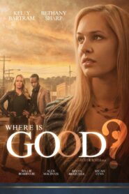 Where is Good? 2015 on netflix