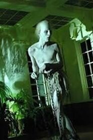 Coffins of Light 2009 on netflix
